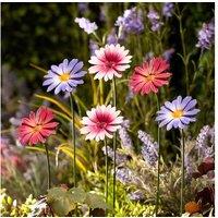 Weather-Resistant Metal Daisy Flower Garden Ornament Stakes - Pink Outdoor Decor (Set of 6)