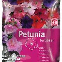 Trailing Summer Petunia Plug Plants - Mixed Flowering Annuals