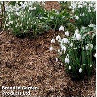 Organic Mineralised Straw Mulch - 2 x 100L Bags for Gardens
