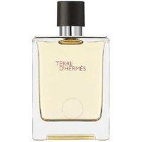 Herms Terre D'Herms Eau de Toilette for Men 100ml - Luxury Woody Citrus Fragrance