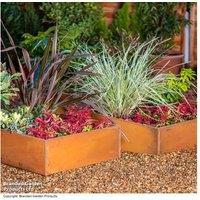 Rust Effect Steel Raised Garden Bed - Outdoor Planter for Flowers & Veg