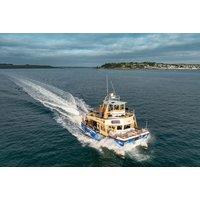 3-Hr Cornish Wildlife & Coastal Cruise - Child & Adult Options - AK Wildlife Cruises