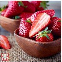 Strawberry 'Gasana' Flowering Perennial - 3 or 6 Potted Plants