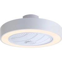 Round Acrylic LED Ceiling Fan Light with Remote