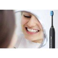 Professional Sonic Electric Toothbrush Teeth Whitening Kit - 10 DuPont Brush Heads, USB Rechargeable, Travel Case