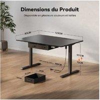 EcoFurnix Electric Adjustable Living Room Desk - Walnut Wood Top, Alloy Steel Frame, 120x80cm, Modern Storage