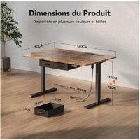 EcoFurnix Contemporary Walnut Electric Sit-Stand Desk - Height Adjustable, Alloy Steel, 120x80cm, Storage Drawers