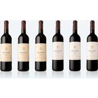 6 Bottle Case of Spanish Red Wine