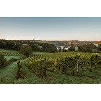 Sandridge Barton Vineyard Tour & Wine Tasting