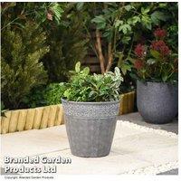 Damask Lead Effect Outdoor Planters - Lightweight, Weatherproof