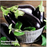 Lucky Dip Potted Vegetable Plants - Mixed Edible Varieties, 9cm Pots