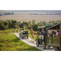 Port Lympne Reserve - Luxury Bear Lodge Glamping Stay for up to 8 with Port Lympne & Howletts Admission plus Safari Truck Access