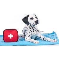 Cpd Certified Pet First Aid & Cpr Course