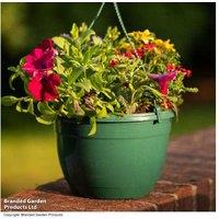 Mixed Bedding Hanging Basket - Pre-Planted Flowering Annuals