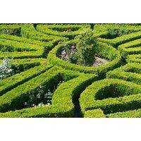 5* Sintra Foodie Escape with Hotel Stay, Breakfast, Gourmet Dining & Return Flights