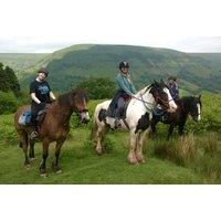 Horse Instruction Lesson & Trekking in the Brecon Beacons
