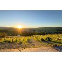 Breakfast, Vineyard Tour & Wine Tasting For 2 or 4 - Holmfirth Vineyard