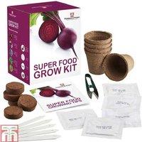 Super Food Vegetable Seed Grow Kit - Easy Home Gardening