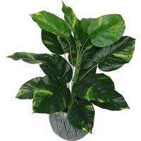 60cm Artificial Devil's Ivy Indoor Plant - Low Maintenance Foliage