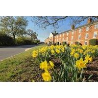 Whittlebury Hall Heat & Ice Spa Day with Two-Course Lunch, Glass of Prosecco, and 50-Min Treatment