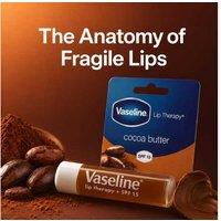 Vaseline Cocoa Butter Hydrating Lip Balm Stick SPF 15 - Nourishing Cream Formula, 4g, Long-Lasting Moisture