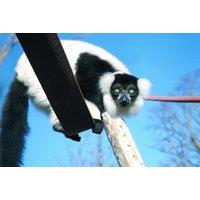 Northumberland College Zoo Entry Tickets - Kirkley Hall