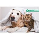 Animal Behaviour Counsellor Online Course