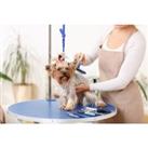 Online Animal Grooming Course