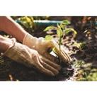 Horticulture Diploma - Level 3 - Online Course