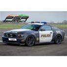 Ford Mustang Driving Experience - V8 Gt Or 1965 V8 - 15 Locations