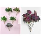 Hanging Wall Flower Basket - 2 Colours! - White