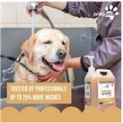 Honey & Oat Pet Shampoo -500Ml, 1L Or 5L