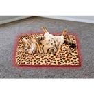Usb Pet Heating Mat - Two Colours And Two Sizes!