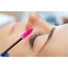 Online Lash Lift And Tint Training Course