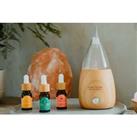 Nebulising Aromatherapy Essential Oil Diffuser Kit - With 2 Oil Blends!