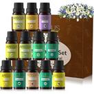 Apricus Room Diffuser And Essential Oils Set - 3 Options