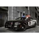 Driving Experience: Us Police Car - 3-Mile - 25 Locations