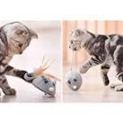 Rechargeable Cat & Mouse Interactive Toy