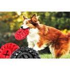 Dog Toy For Aggressive Chewers - Black, Red