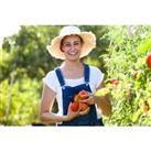 How To Grow Your Own Tomatoes Course - Online