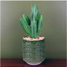 23Cm Potted Artificial Cactus - Green