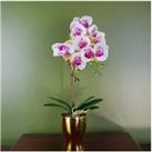 48Cm Harlequin Orchid, Pink Gold Decor