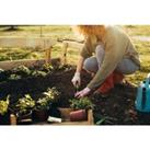 Gardening 101 For Beginners Course