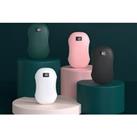 2 In 1 Mini Hand Warmer And Powerbank In 4 Colour Options - Green