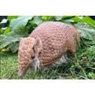 Private Armadillo Experience For 4 With Zoo Entry