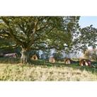 4* Forest Of Dean Glamping Pod Stay & Spa Access For Up To 4